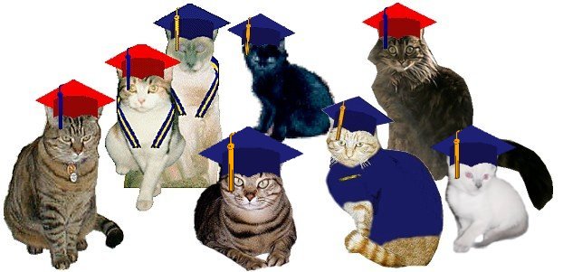 Simba's Graduating Class