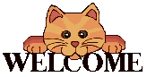 catwelcome.gif